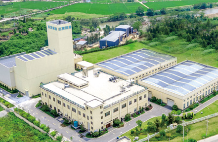About Zhengfa