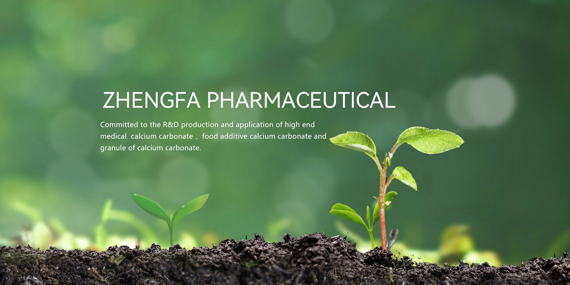 Zhengfa Pharmaceutical